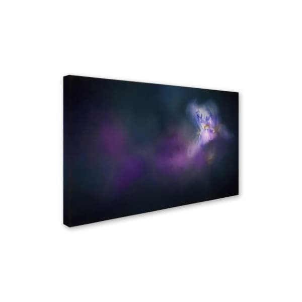 Jai Johnson 'Iris Whisper' Canvas Art,30x47